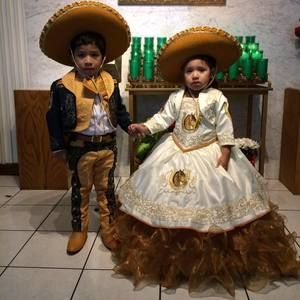 Meet your Posher, Roy